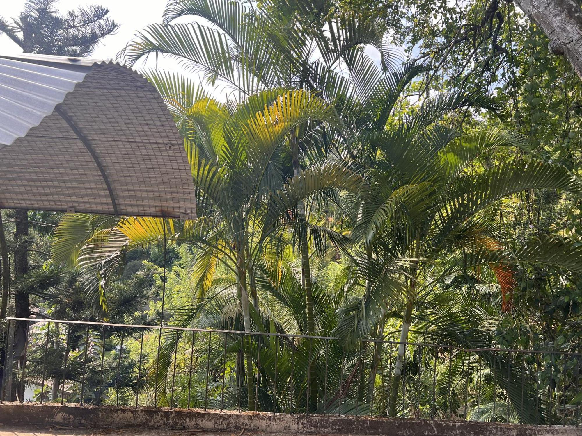 Canopy Villa แคนดี้ ภายนอก รูปภาพ