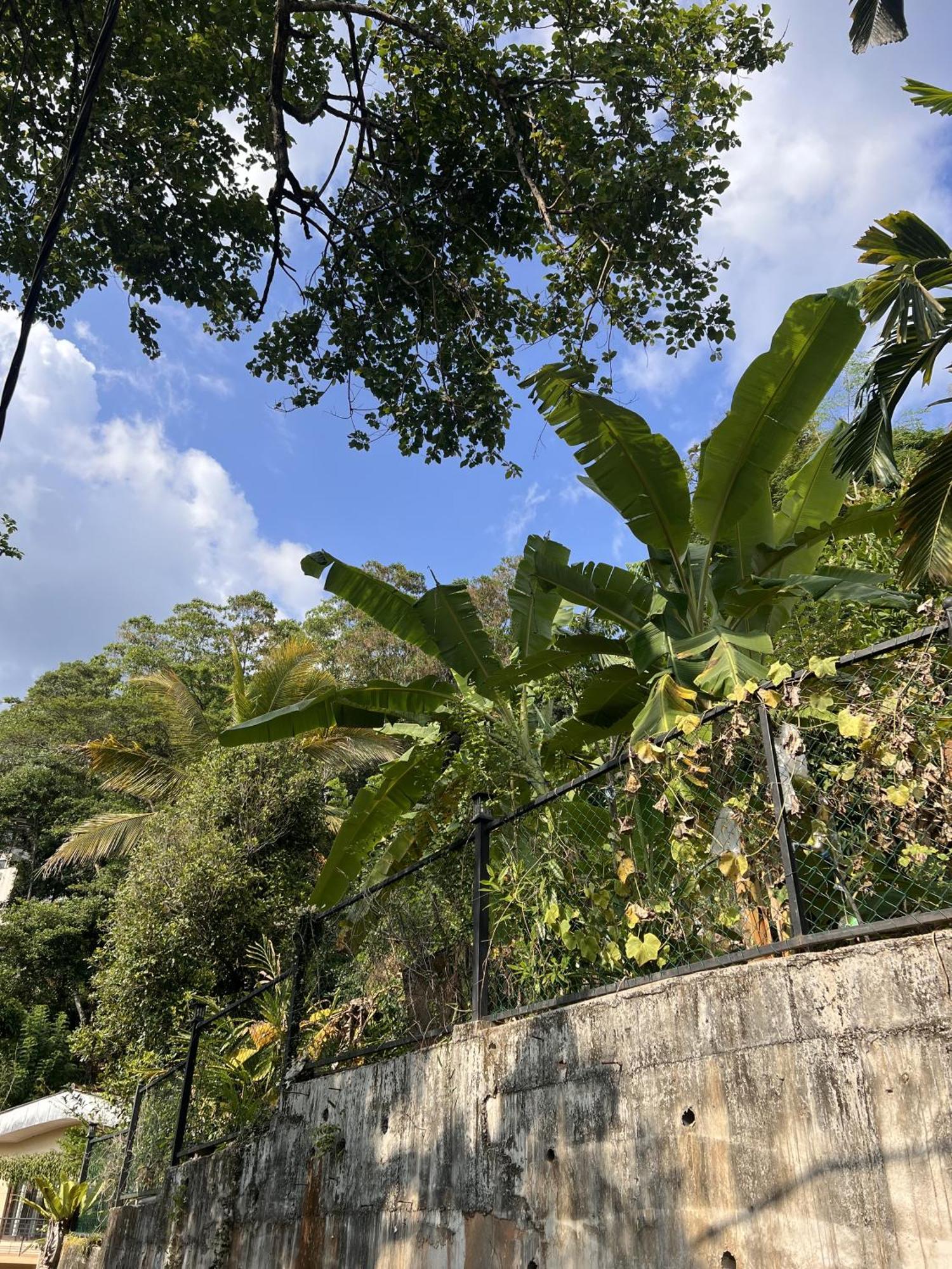 Canopy Villa แคนดี้ ภายนอก รูปภาพ